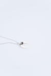 Ketting parelmoer Crescent Necklace Salty Cali® - 4